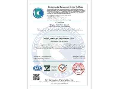環(huán)境管理體系認證證書英文版